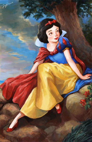 Full Diamond Painting kit - Snow white