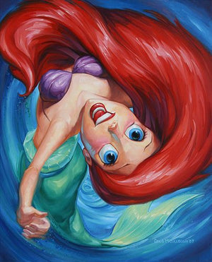 Full Diamond Painting kit - Ariel