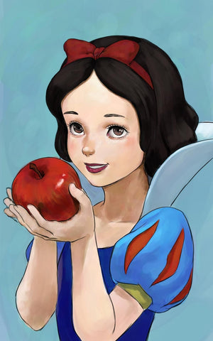 Full Diamond Painting kit - Snow white