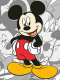 Full Diamond Painting kit - Mickey Mouse