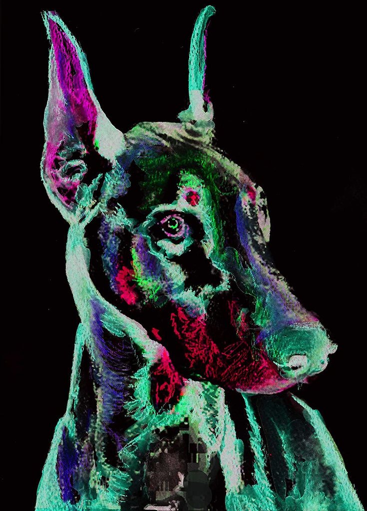 Full Diamond Painting kit - Doberman