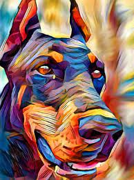 Full Diamond Painting kit - Doberman