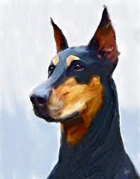 Full Diamond Painting kit - Doberman