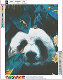 Full Diamond Painting kit - Panda