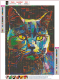 Full Diamond Painting kit - cat