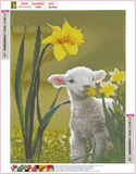 Full Diamond Painting kit - Cute lamb