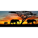 Full Large Diamond Painting kit - Elephant under the setting sun