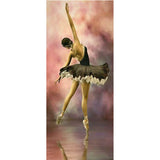 Full Large Diamond Painting kit - Ballet dancer