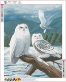 Full Diamond Painting kit - White owl