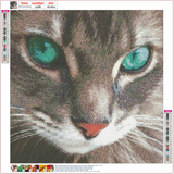 Full Diamond Painting kit - Cat