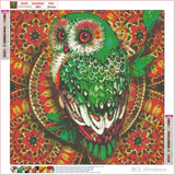 Full Diamond Painting kit - Owl