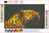 Full Diamond Painting kit - leopard