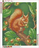 Full Diamond Painting kit - Squirrel