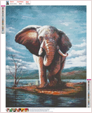 Full Diamond Painting kit - Wild elephant