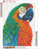 Full Diamond Painting kit - Parrot