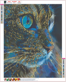 Full Diamond Painting kit - Cat eyes