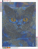 Full Diamond Painting kit - Blue cat