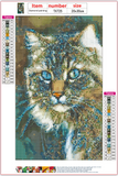 Full Diamond Painting kit - Cat