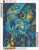 Full Diamond Painting kit - Owl