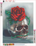 Full Diamond Painting kit - Skull and Rose