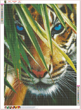 Full Diamond Painting kit - Wild tiger