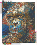Full Diamond Painting kit - chimpanzee