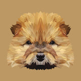 Full Diamond Painting kit - Cute chow