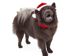 Full Diamond Painting kit - Christmas Chows