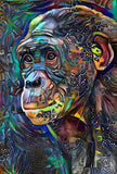 Full Diamond Painting kit - orangutan