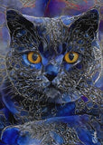 Full Diamond Painting kit - Blue cat