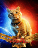 Full Diamond Painting kit - Captain Marvel Cat