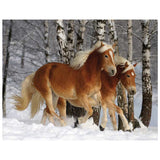 Full Diamond Painting kit - Two horses on the snow