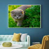 Full Diamond Painting kit - Cute Blue cat