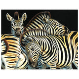 Full Diamond Painting kit - Animal zebra