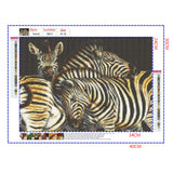 Full Diamond Painting kit - Animal zebra