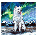 Full Diamond Painting kit - Samoyed dog under the starry night