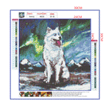 Full Diamond Painting kit - Samoyed dog under the starry night