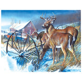 Full Diamond Painting kit - White-tailed Deer family foraging