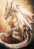 Full Diamond Painting kit - White dragon