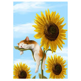 Full Diamond Painting kit - Kitten lying in sunflowers