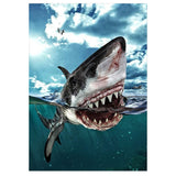 Full Diamond Painting kit - Big shark