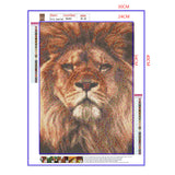 Full Diamond Painting kit - Lion head