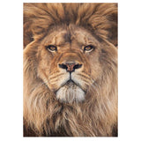 Full Diamond Painting kit - Lion head