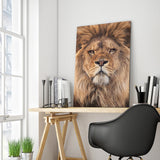 Full Diamond Painting kit - Lion head