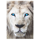Full Diamond Painting kit - Lion head