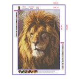 Full Diamond Painting kit - Lion head