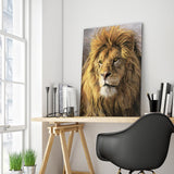 Full Diamond Painting kit - Lion head