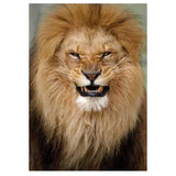 Full Diamond Painting kit - Lion head