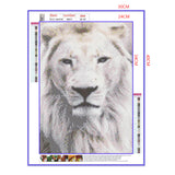 Full Diamond Painting kit - Lion head