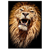 Full Diamond Painting kit - Lion head